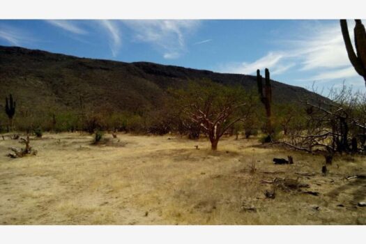 TERRENO EN VENTA EN EL MEZQUITITO, LA PAZ BAJA CALIFORNIA