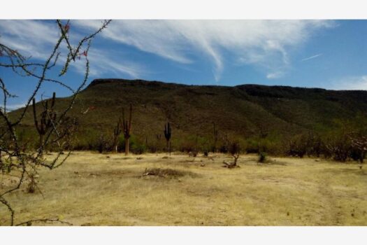 TERRENO EN VENTA EN EL MEZQUITITO, LA PAZ BAJA CALIFORNIA