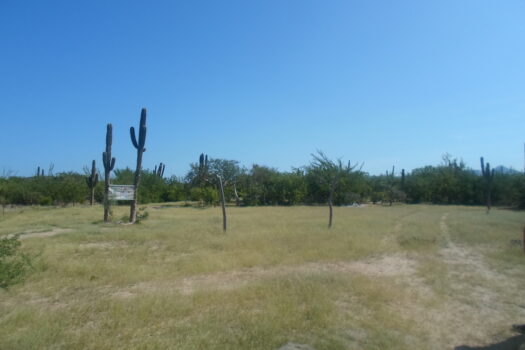 TERRENO EN VENTA EN EL MEZQUITITO, LA PAZ BAJA CALIFORNIA