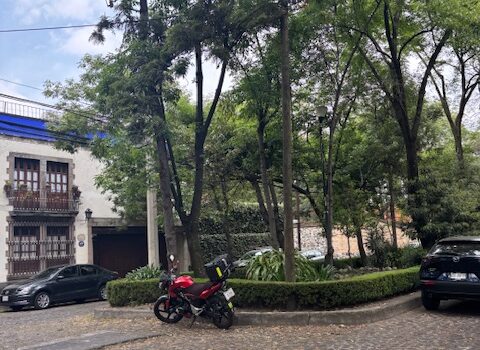 CASA EN VENTA EN ZONA EXCLUSIA DE LA CIUDAD