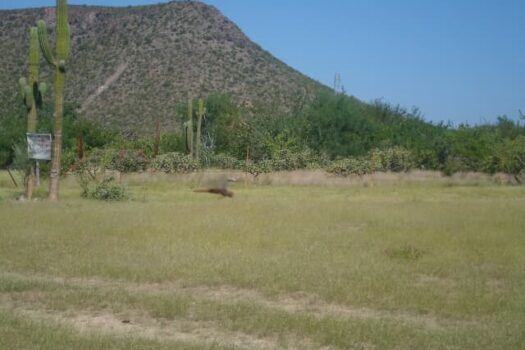 TERRENO EN VENTA, EXCELENTE OPORTUNIDAD