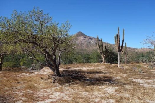 TERRENO EN VENTA, EXCELENTE OPORTUNIDAD