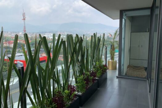DEPARTAMENTO EN RENTA CON TERRAZA EN BE GRAND PEDREGAL
