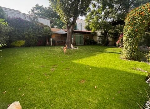 CASA EN VENTA/RENTA EN SAN JERONIMO LIDICE